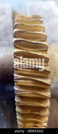 Nahaufnahme eines Schneckenrads aus Bronze, das seine einzigartige geriffelte Struktur und seine metallische Textur unterstreicht. Dieses Teil ist für mechanische Funktionen in entscheidend Stockfoto