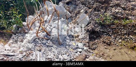 Betonschutt, Bewehrungsstahl und Schmutz sind in einer Bauzone verstreut, in der Nähe wachsen grüne Pflanzen und am Boden sind matschige Böden zu sehen. Stockfoto