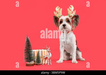 Niedlicher Biewer Terrier Hund in Rentierhörnern mit Weihnachtsdekor auf rotem Hintergrund Stockfoto
