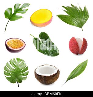 Tropische Blätter und Früchte isoliert auf weiß, Set Stockfoto