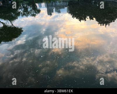 Bäume, Gebäude und Wolken spiegeln sich bei Sonnenuntergang auf der Wasseroberfläche. Stockfoto