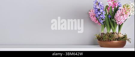 Bouquet von Hyazinthen in Schüssel mit Moos auf Kaminsims. Natürliche Einrichtung im Frühling und Ostern, Kopierraum Stockfoto