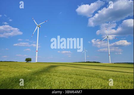 Drei Windräder stehen auf einem großen offenen Gerstenfeld unter klarem Himmel, Sommer, Retzstadt, Main Spessart, Bayern, Deutschland, Europa Stockfoto