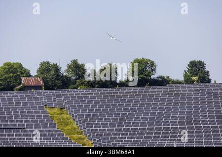 Open-Space-Photovoltaikanlage, Solarpark bei Nellingen auf der Schwäbischen Alb. Segelflugzeug. Nellingen, Baden-Württemberg, Deutschland, Europa Stockfoto