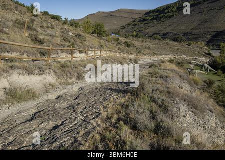 Dinosaurierspuren, Valdecevillo Site, Enciso, La Rioja, Spanien, Europa Stockfoto
