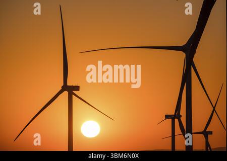 Windpark La Muela, Saragossa, Aragonien, Spanien, Europa Stockfoto
