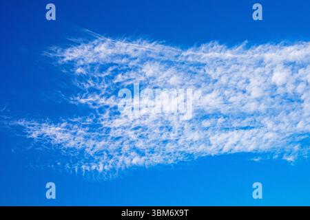 Wellige Wolken am klaren blauen Himmel zum Regen Stockfoto