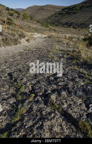 Dinosaurierspuren, Valdecevillo Site, Enciso, La Rioja, Spanien, Europa Stockfoto