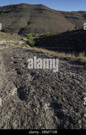 Dinosaurierspuren, Valdecevillo Site, Enciso, La Rioja, Spanien, Europa Stockfoto
