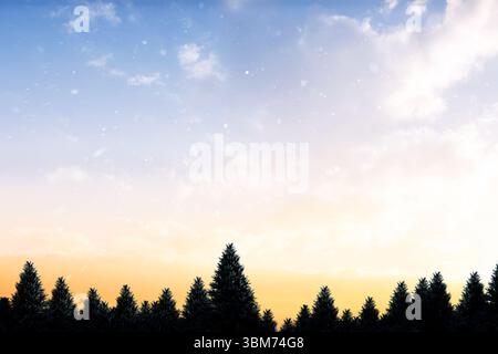 Schnee fällt auf Tanne Baum Wald Stockfoto