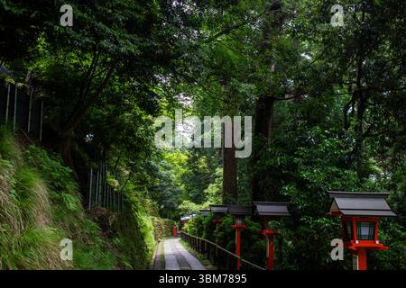 Wandern zwischen Kurama und Kibune im Norden von Kyoto, Japan. Stockfoto