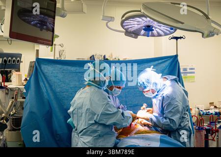 Die Platzierung einer Hüftprothese mit Roboterunterstützung am Lyon-Sud-Krankenhaus. Stockfoto
