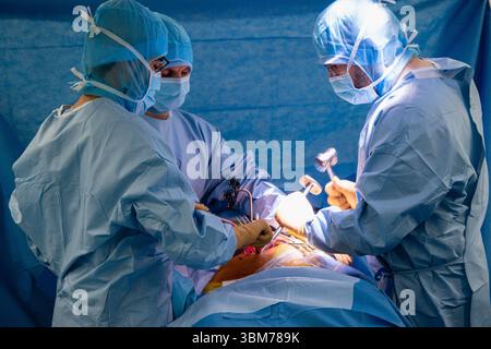 Die Platzierung einer Hüftprothese mit Roboterunterstützung am Lyon-Sud-Krankenhaus. Stockfoto