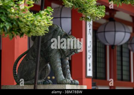 Wandern zwischen Kurama und Kibune im Norden von Kyoto, Japan. Stockfoto