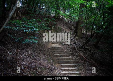 Wandern zwischen Kurama und Kibune im Norden von Kyoto, Japan. Stockfoto