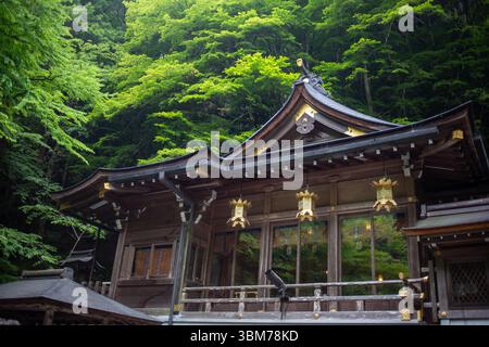 Wandern zwischen Kurama und Kibune im Norden von Kyoto, Japan. Stockfoto