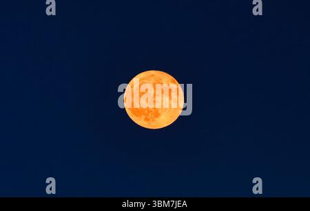 Leuchtend orangefarbener Vollmond am Nachthimmel, Erdbeermond, Bayern, Deutschland, Europa Stockfoto