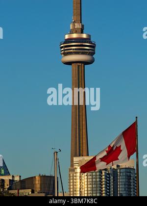 Toronto Canada / Torontos berühmter CN Tower erhebt sich über der Skyline der Stadt in der Innenstadt von Toronto. Stockfoto