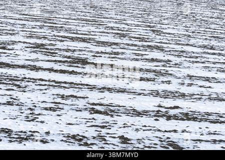 Schmelzender Schnee auf einem gepflügten Feld im April. Stockfoto