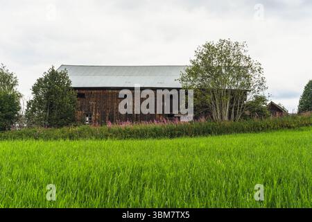 Alte Holzscheune von verlassener Farm Stockfoto