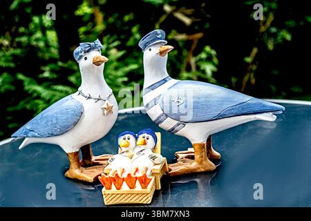 Souvenir aus dem Meer: Eine Möwenfamilie als Souvenir vom Meer Stockfoto