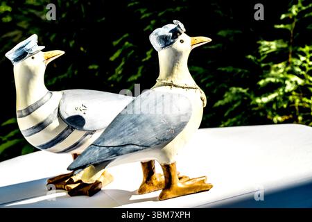 Souvenir aus dem Meer: Eine Möwenfamilie als Souvenir vom Meer Stockfoto