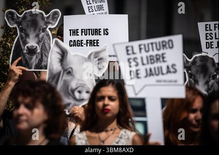 Madrid, Spanien. Juni 2025. Tierschutzaktivisten und Mitglieder der spanischen Koalition „End the Cage age“ versammelten sich mit Bildern von Nutztieren vor dem Abgeordnetenkongress, um ein gesetzliches Verbot der Verwendung von Käfigen in der Tierhaltung in der gesamten Europäischen Union zu fordern. Quelle: Marcos del Mazo/Alamy Live News Stockfoto