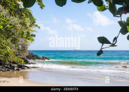 Idyllischer Strand mit leuchtenden grünen Blättern, felsiger Küste, türkisfarbenem Meer und einem fernen Boot am Horizont. Tobago Island, Karibisches Meer. Kopieren Stockfoto