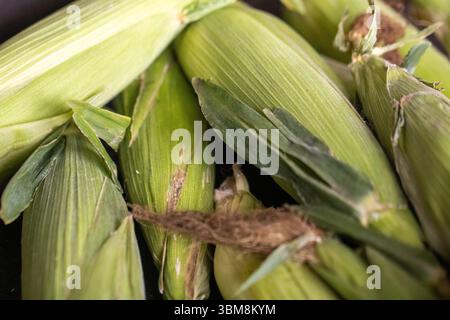 Frisch gepflückte Ähren auf dem Markt Stockfoto