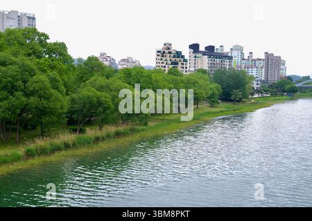 Yangpyeong County, Südkorea - 19. Mai 2025: Üppiges Grün am Fluss grenzt an das Inseldorf Yangsuri, wo Baumhaine auf flache Wohnungen treffen Stockfoto