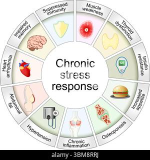 Chronische Stressreaktion. Cortisol-Dysregulation. Langzeitwirkungen von Stresshormonen. Detailliertes Vektorposter Stock Vektor