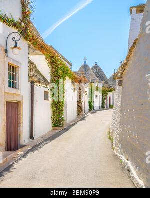 Trulli typische Häuser in der Alberobello Straße. Provinz Bari, Apulien oder Region Apulien, Italien. Stockfoto
