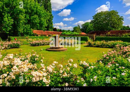 The Rose Garden mit zentraler Sonnenuhr in Barrington Court, Nr Ilminster, Somerset, England, Großbritannien Stockfoto