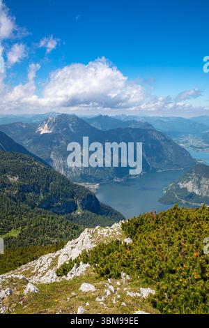 Sommer Österreich. Blick von einem grünen Berggipfel auf felsige und bewaldete Berge um einen See Stockfoto