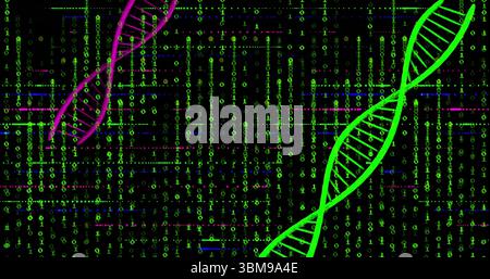 Streamen von Neongrüner DNA-Helix direkt im Binärstrom mit Magenta-Helix, Glitchlinien, Kopierraum. Digital, futuristisch, Technologie, Innovation, Cyber Stockfoto