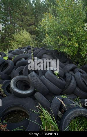 Alte Reifen, die in der Natur in der Nähe von grüner Vegetation entsorgt werden. Stockfoto