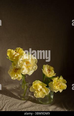 Moody Vintage Stillleben mit gelben Tulpen in einer Glasvase, Rembrandt-Beleuchtung Stockfoto