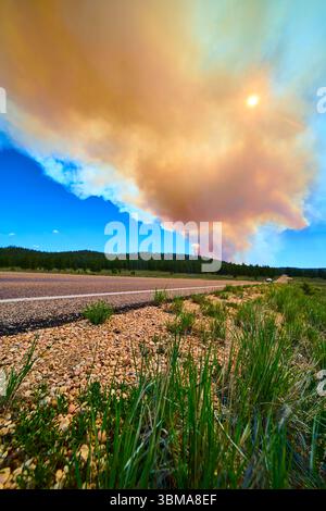 Wildfeuer-Rauch, Der Über Forest Roadside Mit Sonne Und Blauem Himmel Aufsteigt Stockfoto