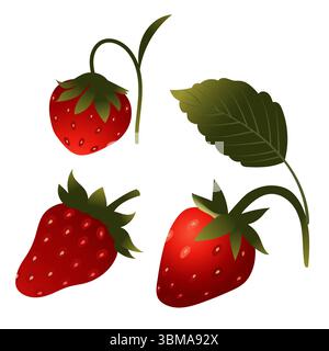 Satz Erdbeeren. Vektorillustration isoliert auf weißem Hintergrund. Stock Vektor