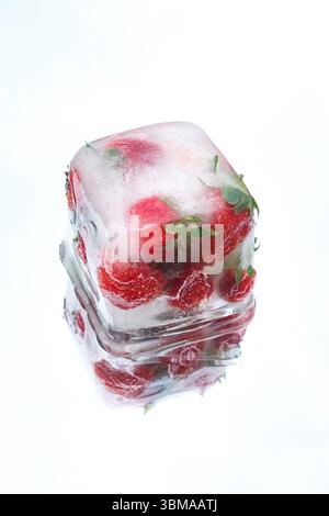 Erdbeeren in einem transparenten Eiswürfel, isoliert auf einer weißen reflektierenden Oberfläche. Frische- und Konservierungsbegriff Stockfoto