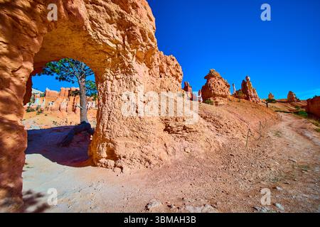 Peekaboo Loop Trail Tunnel und Hoodoo Formationen im Bryce Canyon National Park Stockfoto