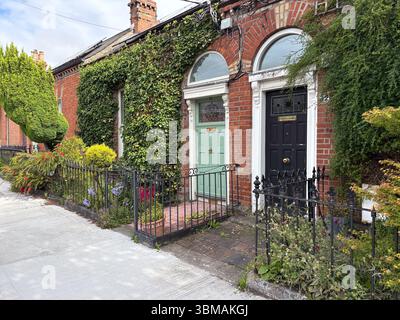 Wohnhäuser in Dublin, Irland. Blick von außen auf klassische Ziegelterrassenhäuser mit bunten Türen, Efeu und kleinen Vorgärten. Stockfoto