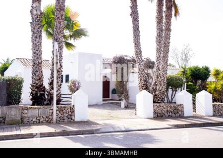 Weißes Haus unter Palmen auf der Insel Menorca Spanien 08.03.2025 Stockfoto
