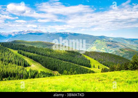 Dramatische, üppig grüne Sommerlandschaft auf dem Wanderweg Vail, Colorado Grand Escape mit Kiefernwäldern der Gore Range an Skipisten Stockfoto