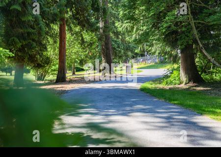 Spaziergang durch den Park an einem sonnigen Tag Stockfoto