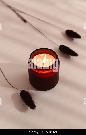 Brennende Kerze in einem dunklen bernsteinfarbenen Glas auf einer beigefarbenen Oberfläche mit getrockneten, flauschigen Grasstämmen Stockfoto