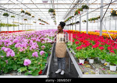 Frau im Gewächshaus mit bunten Blumen Stockfoto