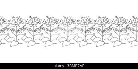 Streifenmuster mit schwarz-weißen Strichgrafiken Blumen der kanarischen Inseln Teneriffa Nachtschatten. Horizontaler nahtloser Rand mit Blumenmuster Stock Vektor