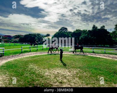 Silhouetten zweier Reiter, die von oben in einer sonnendurchfluteten Reitarena erfasst wurden. Das Sonnenlicht hinter den Motiven wirft dramatische Schatten, die t verstärken Stockfoto
