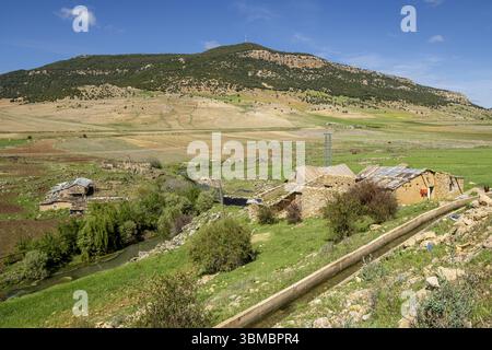 Traditionelle Kulturen, Ifran Nationalpark, Mittlerer Atlas, Marokko, Afrika Stockfoto